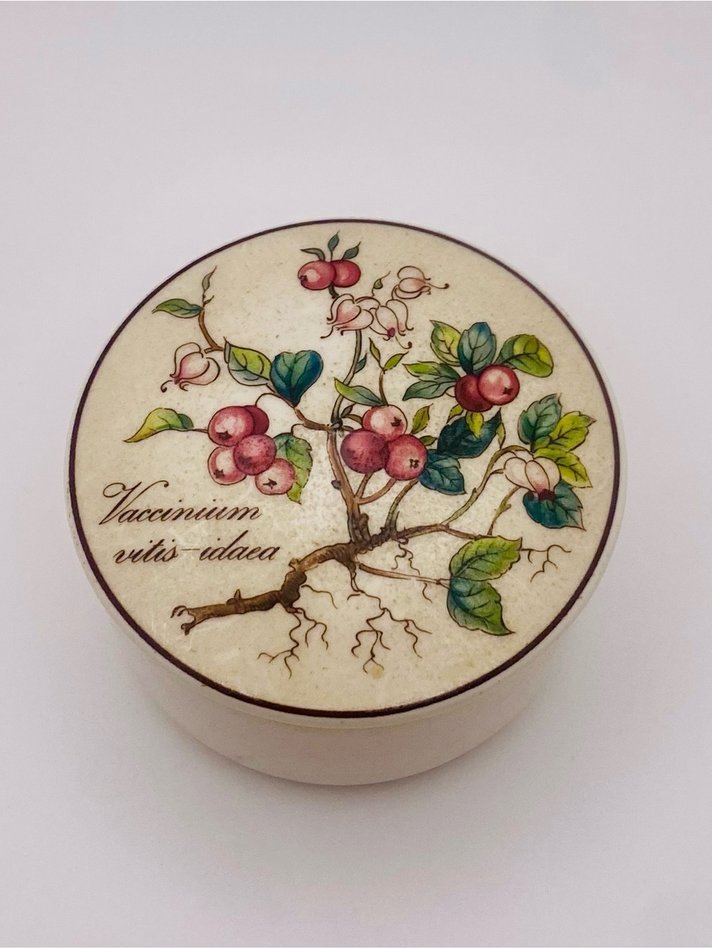 Villeroy & Boch Vintage "Botanica" Lingonberry Porcelain Trinket Box